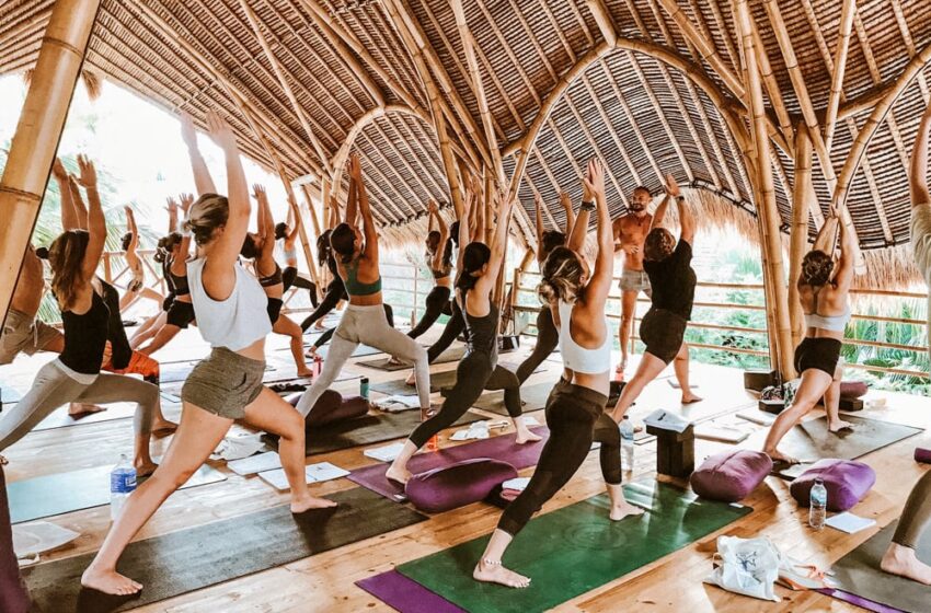 yoga teacher training courses